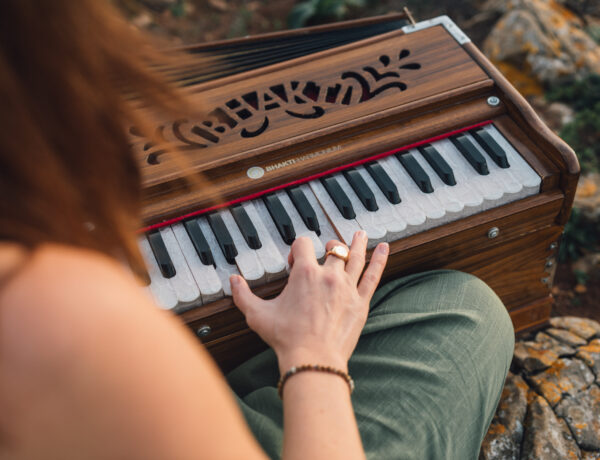 Harmonium Kauf Tipps, Shops, Empfehlungen